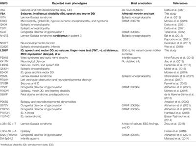 Case Report: Identification of Two Variants of ALG13 in Families With or Without Seizure and Binocular Strabismus: Phenotypic Spectrum Analysis